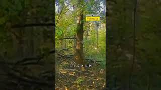 Ukrainian Drone Operator Shows Off His Skills Flying Through The Forest