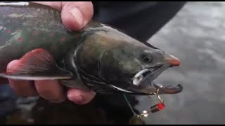 Рыбалка В Магаданской Области