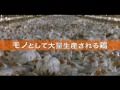 映画『フード・インク』『ありあまるごちそう』予告編