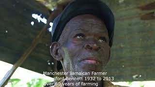 Celebrating 60 YEARS OF FARMING IN MANCHESTER | JAMAICA GOOD LIFE 🇯🇲