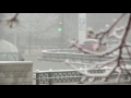 Raw: Denver Gets May Day Snowstorm