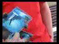 مواقف وطرائف سكس