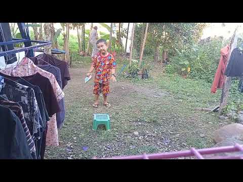 Bersih-bersih Halaman belakang rumah Bersih-bersih Halaman belakang rumah