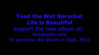 Watch Toad The Wet Sprocket Life Is Beautiful video