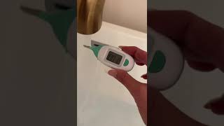 Poppys Nighttime Routine