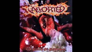 Watch Aborted Gurgling Rotten Feces video