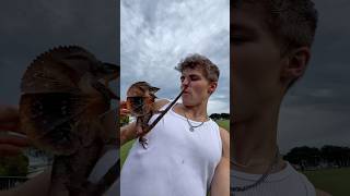 I Got Attacked By This Lizard