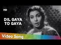 Dil Gaya To Gaya | Shama(1961) | Nimmi | Suman Kalyanpur | Shamshad Begum | Ghulam Mohammed