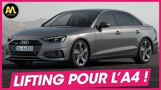 L'Audi A4 fait peau neuve ! - La Quotidienne #21