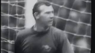 qzOtMntOYAo Video Image