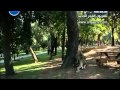 وادي الذئاب 6 حزن وادي الذئاب 6 حزن