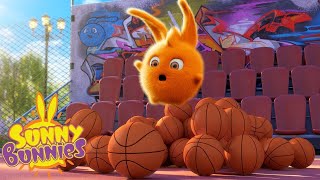Cartoons for Children | SUNNY BUNNIES - SPORTS DAY | Funny Cartoons For Children