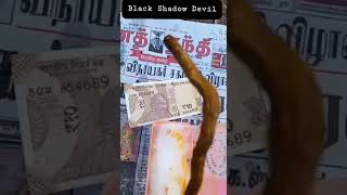 Orginal Sanjeev Root 3Test Place Tiruchi Dist.