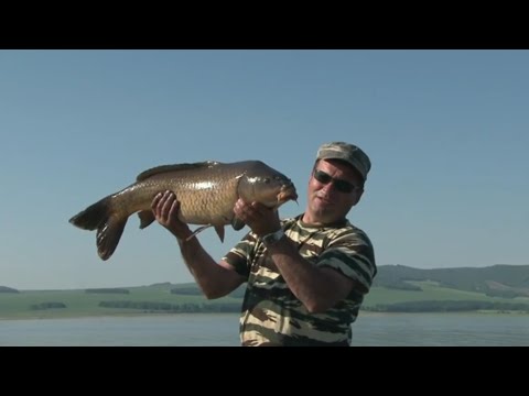 рыбалка в абакане форум рыбалка в абакане форум