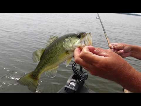 Power Shotting for Largemouth, F4111811