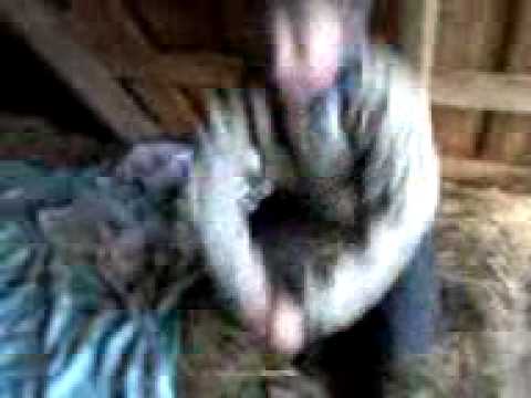 Порно Видео Мужик И Курица