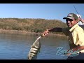 Incrível ataque de Tucunaré na superfície - Serra da Mesa - BOECHAT PESCA ESP