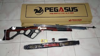Sharp Pegasus Crom Erthes