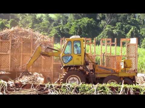 Carregamento De Cana