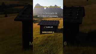 Mâide Suresi, 6