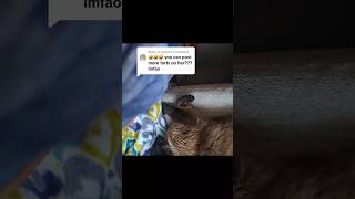 Face Farting My Cat Pt.1