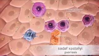 Medicatrans Sağlık Programı 1.Bölüm Xezer Tv