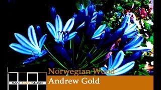 Watch Andrew Gold Norwegian Wood video