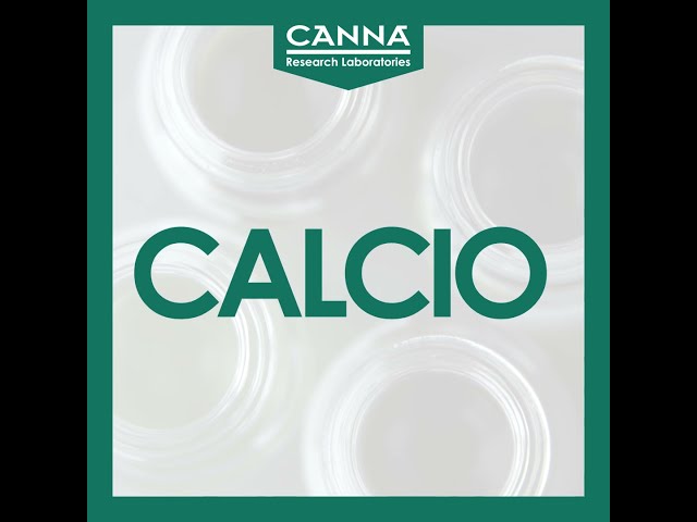 Watch CALCIO - Carencia Mononutrientes - Guía Deficiencia on YouTube.