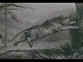 Tigre