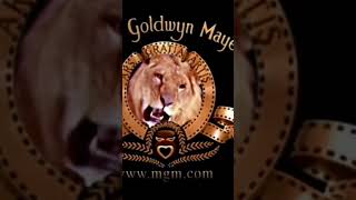 Mgm Dreamworks 2006