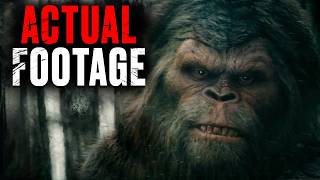Top 17 Most Authentic Bigfoot Videos