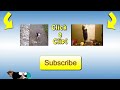 compilation