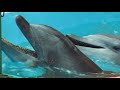 Florida Travel Video Guide