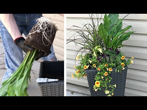 Easy Summer Flower Planters & How To Choose Plants At The Greenhouse - Gardening
