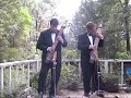 Chapman Stick - Heartstrings - Pachelbel's Canon in D
