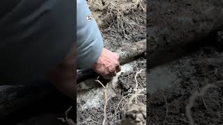 Montaggio Collare A Staffa Su Tubo In Polietilene