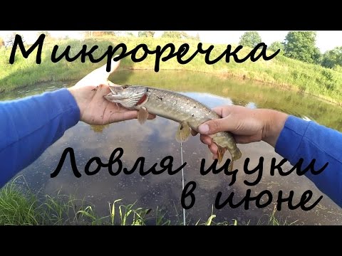 видео ловля щуки на микро реках видео ловля щуки на микро реках