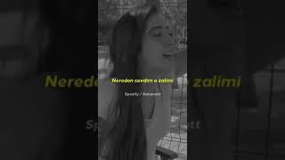 Ne Orhan Ne Ferdi ...