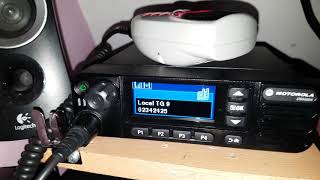 Rx Of Tg4426 Allstar Node On Dmr