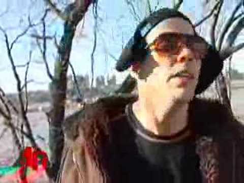 'Jackass' Star Steve-O Arrested