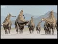 Diplodocus Herd Walking With Dinosaurs Ballad Of Big Al Bbc