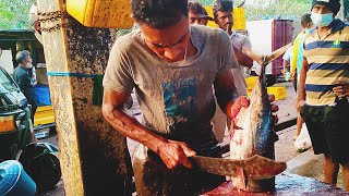Fastest Fish Cutting Skill | Fish Cutting Skills Sri Lanka