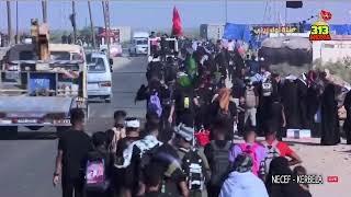 Erbai̇n Yürüyüşü - Necef - Kerbela - Canlı Yayın