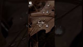 Dil Mera Dekho Na Meri Haisiyat Poochho
