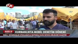 Tek Rumeli Başakşehir Kurban Satış Ve Kesim Alanı