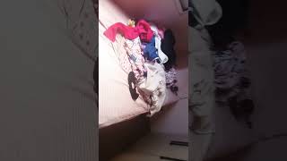 Arrumando Meu Quarto