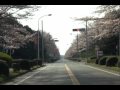 つくば市農林水産道路 復路