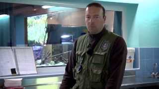 Fipsas Sistema Trentino Fishing parte 2 Fipsas Sistema Trentino Fishing parte 2