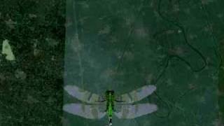 Insecticide