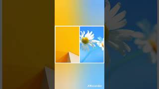 Windows Error Sesleri Patlıyorwindows Error Sound But Ear